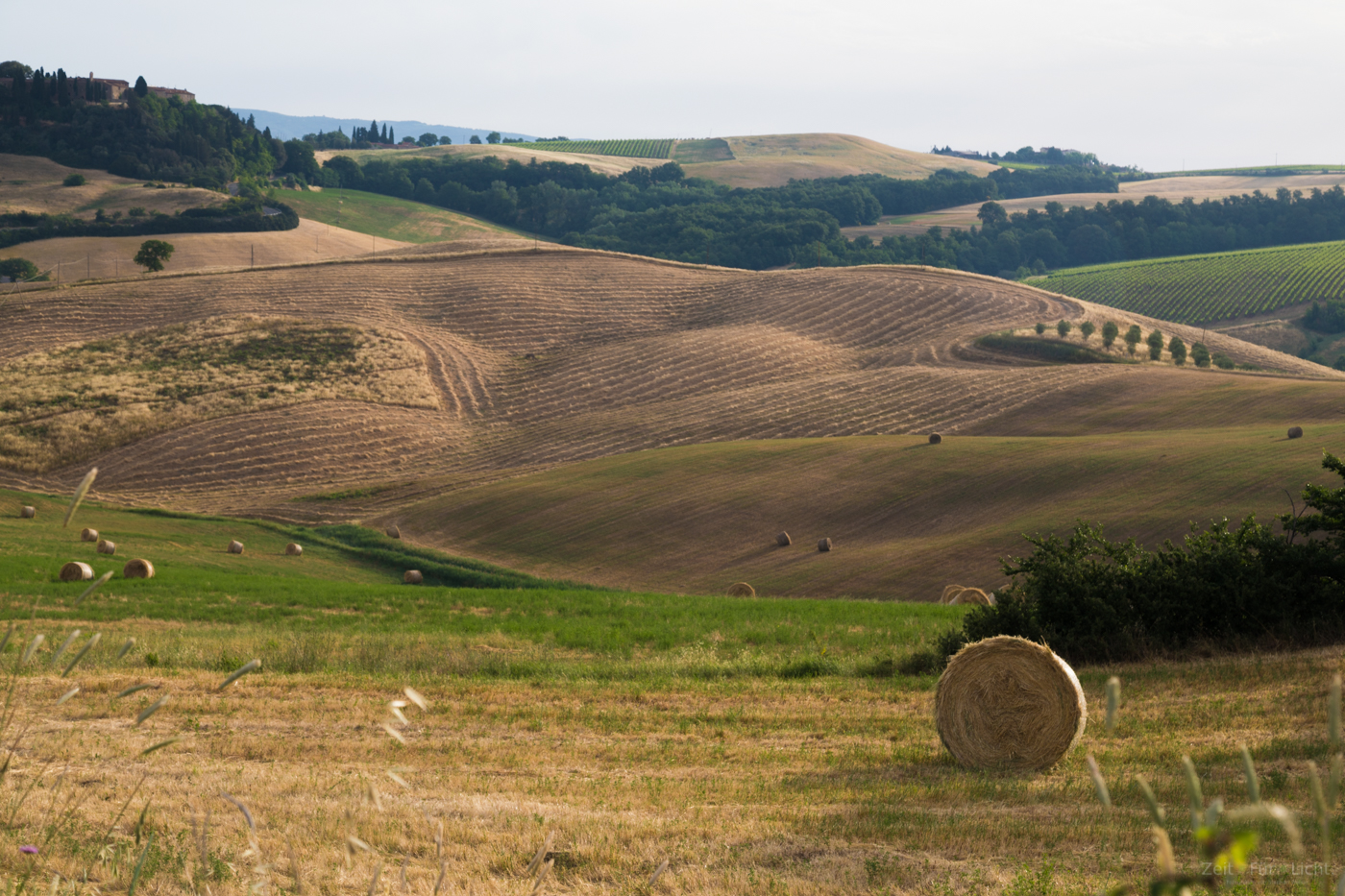 Toskanische Idylle Teil 4