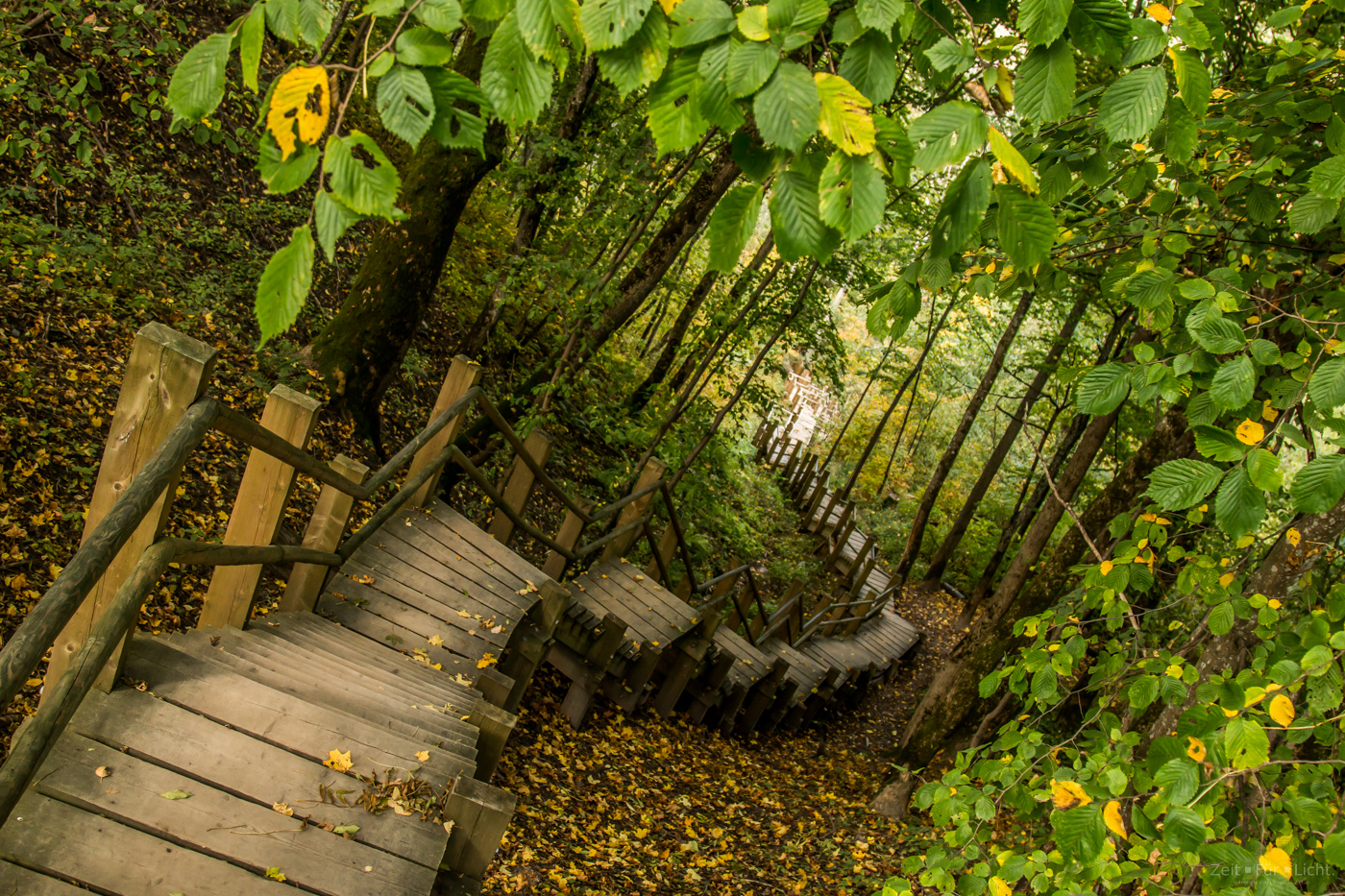Treppe in die Natur